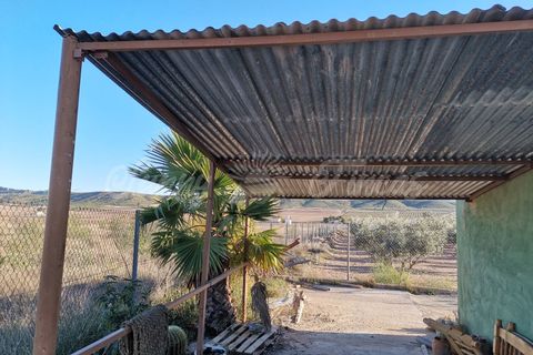 Landejendom i Yecla, Murcia, Yecla - € 155.000 | Ref: SF0370 - foto 16